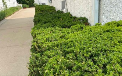 Photo of Barbara K.'s yard after getting landscaping in Eagle, WI