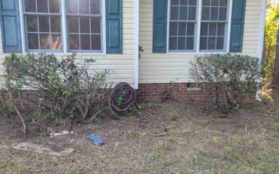 Photo of EDWARD S.'s yard after getting landscaping in Carson, VA