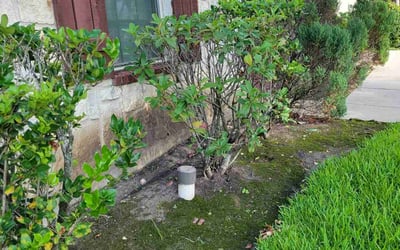 Photo of Adrian A.'s yard after getting landscaping in Richmond, TX