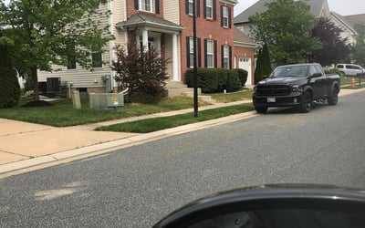 Photo of Temitope K.'s yard after getting tree care in Owings Mills, MD