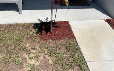 Photo of Jennifer A.'s yard after getting tree care in Mulberry, FL