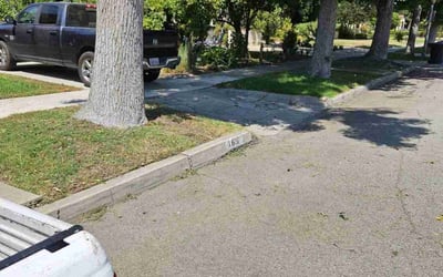 Photo of Monique A.'s yard after getting tree care in San Jose, CA