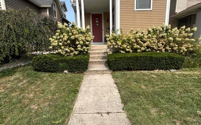 Photo of Victoria A.'s yard after getting tree care in Indianapolis, IN