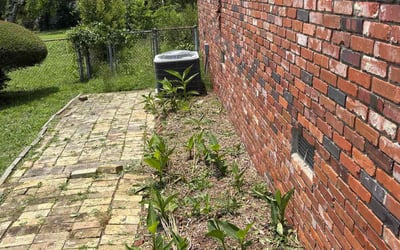 Photo of Bruce W.'s yard after getting landscaping in Augusta, GA