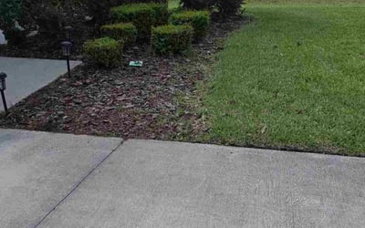 Photo of Danae S.'s yard after getting tree care in Lake Geneva, FL