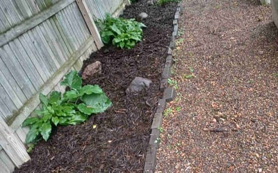 Photo of Jessica T.'s yard after getting landscaping in Excelsior, MN
