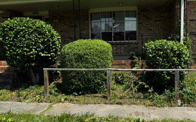 Photo of Aaron S.'s yard after getting landscaping in Bowling Green, VA