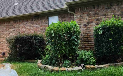 Photo of Rosalyn W.'s yard after getting landscaping in Colleyville, TX