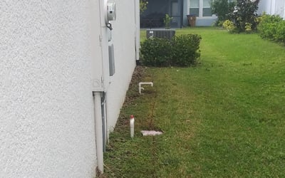 Photo of Jamie S.'s yard after getting landscaping in Astor, FL