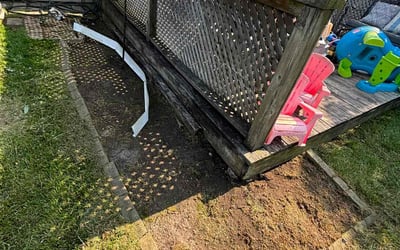 Photo of Nick H.'s yard after getting landscaping in Downers Grove, IL