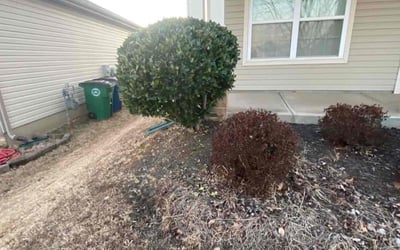 Photo of Jason F.'s yard after getting landscaping in Vale, NC