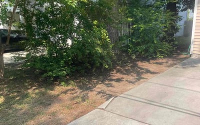 Photo of Lisa H.'s yard after getting landscaping in Virginia Beach, VA