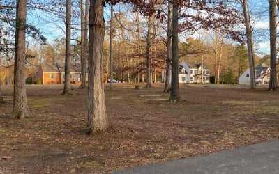 Photo of Paul L.'s yard after getting tree care in Powhatan, VA