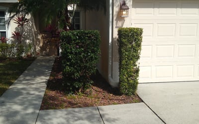 Photo of Juanita T.'s yard after getting landscaping in Melbourne Beach, FL