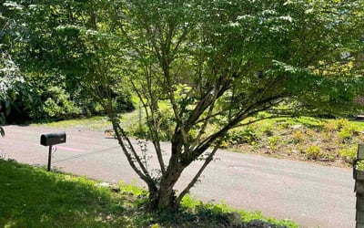 Photo of Lori A.'s yard after getting landscaping in Knoxville, TN