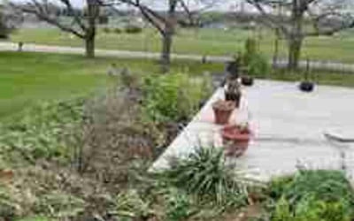 Photo of Holly P.'s yard after getting landscaping in Marquette, MI