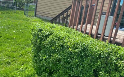 Photo of Michael F.'s yard after getting landscaping in Camillus, NY