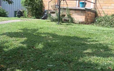 Photo of Mary P.'s yard after getting landscaping in New Albany, IN