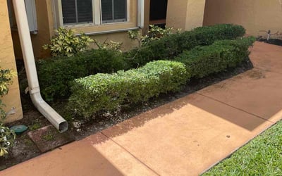 Photo of Justin J.'s yard after getting landscaping in South Bay, FL