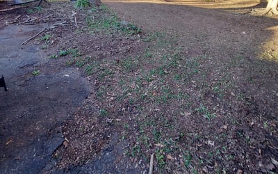 Photo of Joseph M.'s yard after getting landscaping in Liberty, SC