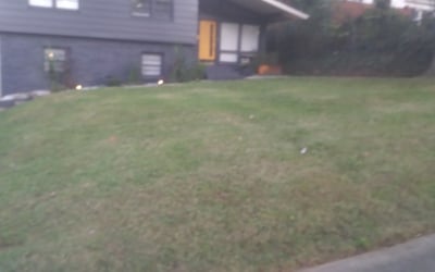 Photo of Melissa W.'s yard after getting lawn care in Iron Station, NC