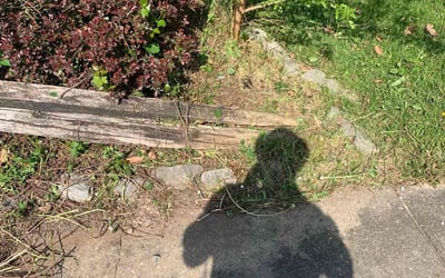 Photo of Donnette S.'s yard after getting lawn care in Ephrata, PA