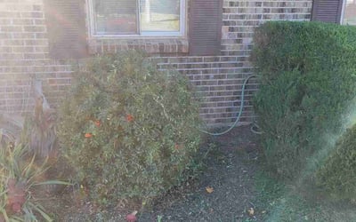 Photo of Sandra V.'s yard after getting landscaping in Como, CO
