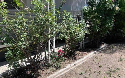 Photo of Chris M.'s yard after getting landscaping in Salt Lake City, UT