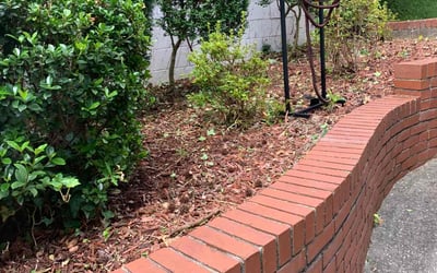 Photo of Amanda D.'s yard after getting landscaping in Forest Park, GA