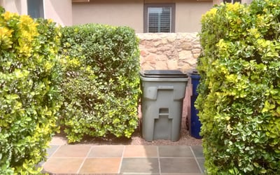 Photo of Erik S.'s yard after getting landscaping in Fabens, TX