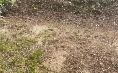 Photo of Jennifer G.'s yard after getting landscaping in Timberlake, NC