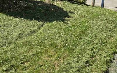 Photo of Richard S.'s yard after getting landscaping in Aliquippa, PA