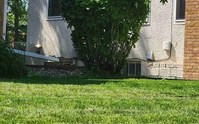 Photo of Steve H.'s yard after getting tree care in Hopkins, MN