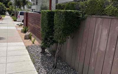 Photo of Michael F.'s yard after getting landscaping in Descanso, CA