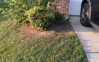 Photo of James H.'s yard after getting landscaping in Mount Pleasant, NC