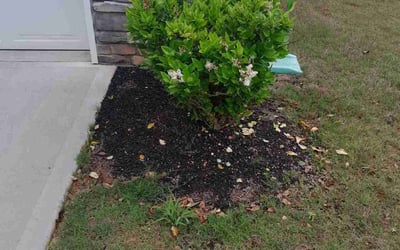 Photo of Janet B.'s yard after getting tree care in Lancaster, SC