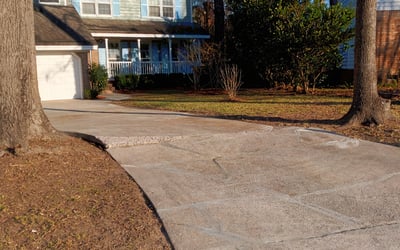 Photo of Mike H.'s yard after getting landscaping in Edisto Island, SC