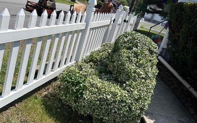 Photo of Elizabeth B.'s yard after getting landscaping in Woonsocket, RI
