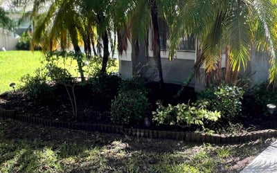 Photo of Andrew P.'s yard after getting landscaping in Patrick Afb, FL