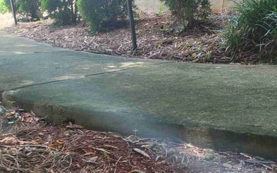 Photo of Mario H.'s yard after getting landscaping in Turin, GA