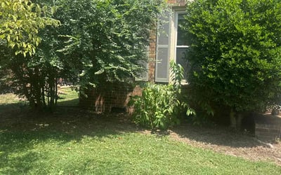 Photo of Leisha P.'s yard after getting lawn care in Franklin, TN