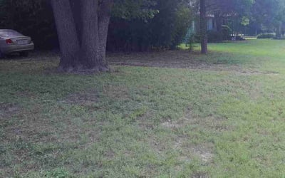 Photo of Shawn M.'s yard after getting landscaping in Midlothian, TX