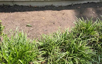 Photo of Shannon M.'s yard after getting landscaping in Waldorf, MD