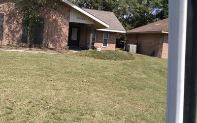 Photo of Anthony T.'s yard after getting tree care in Baton Rouge, LA
