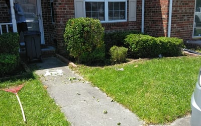 Photo of Michael A.'s yard after getting landscaping in Carrsville, VA