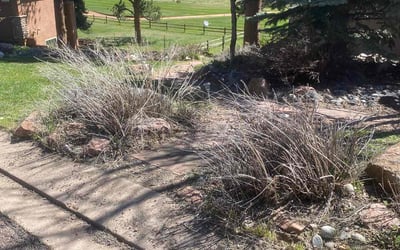 Photo of Scott S.'s yard after getting landscaping in Woodland Park, CO