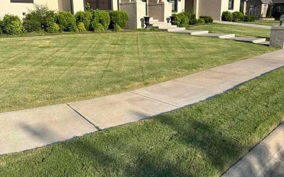 Photo of Amy M.'s yard after getting lawn care in Springdale, AR