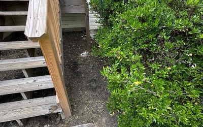 Photo of Kenyo R.'s yard after getting tree care in Fairburn, GA