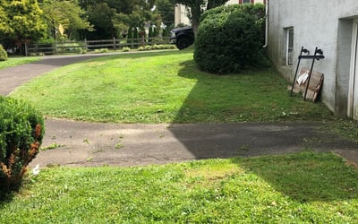 Photo of Laura G.'s yard after getting landscaping in Langhorne, PA
