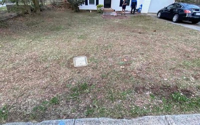 Photo of Velicia B.'s yard after getting landscaping in East Spencer, NC
